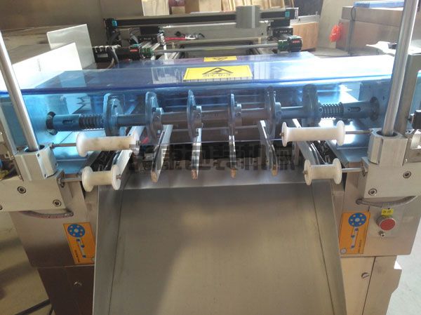 DLZ520系列自動連續(xù)真空包裝機(jī)(圖3)