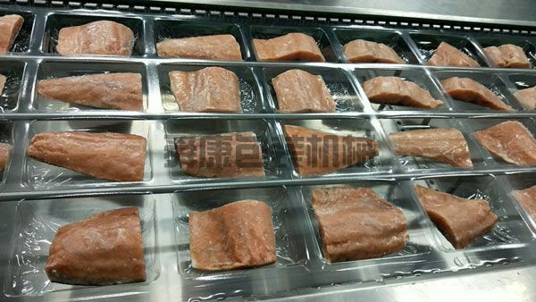 DLZ520系列自動連續(xù)真空包裝機(jī)(圖4)