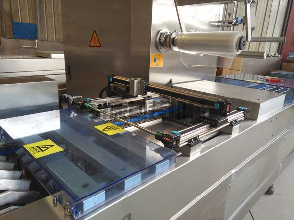 DLZ520系列自動連續(xù)真空包裝機(jī)(圖2)