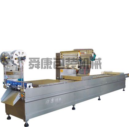 DLZ520系列自動連續(xù)真空包裝機(jī)(圖1)