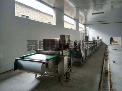 大蒜清洗機(jī)(圖2)