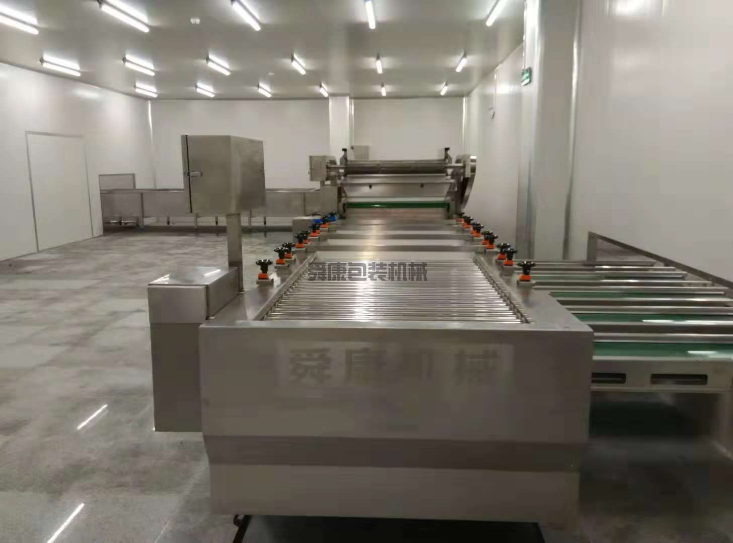 大蒜清洗機(jī)(圖3)